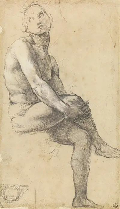 Study for Adam in the Disputa Raphael